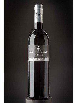 SEÑORÍO DE RUBIÓS SOUSÓN